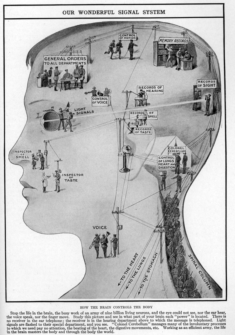 Illustration for article titled Your Body, the Machine... Literally